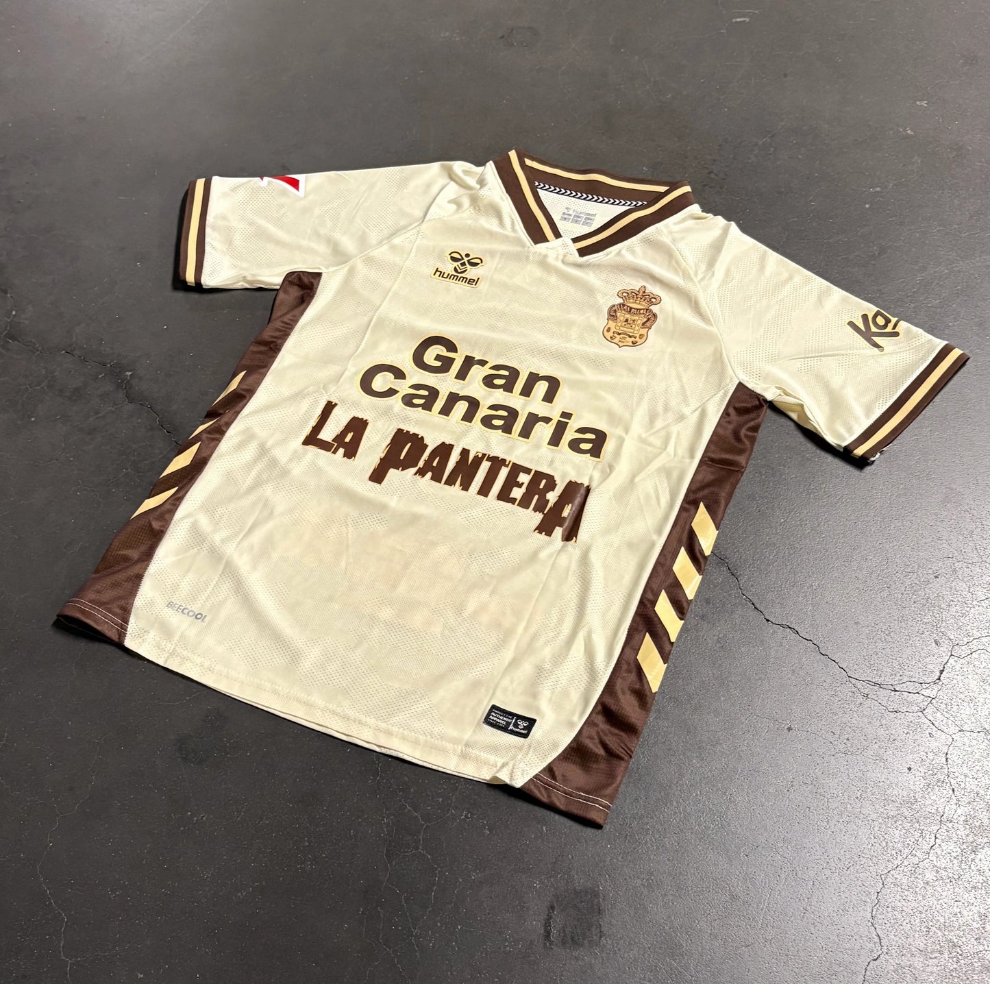 Camiseta la pantera x las palmas